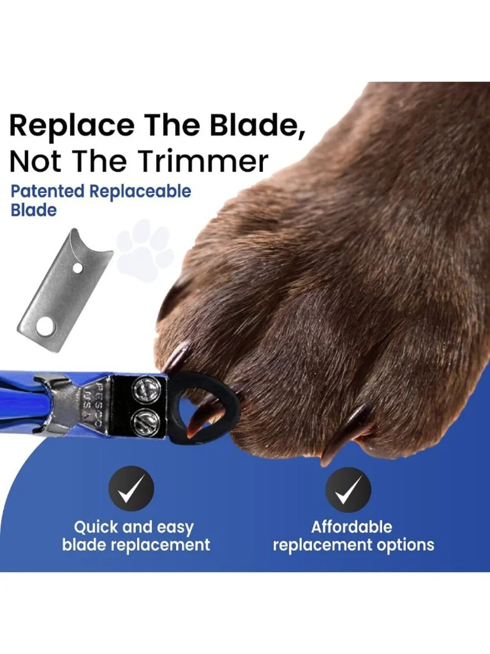 Professional Dog Nail Clippers for Small to Medium Dogs - Heavy Duty Steel